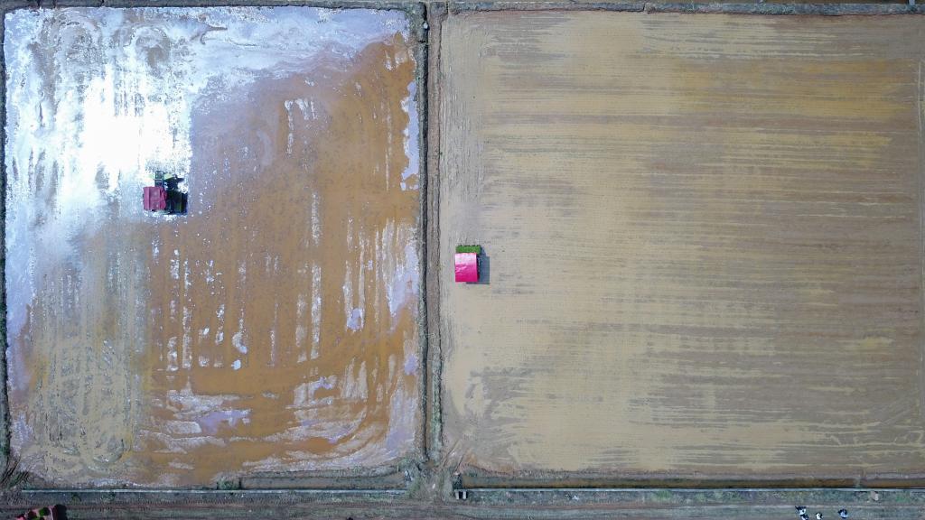 春季耕種正當時(shí) 機械插秧“加速度”