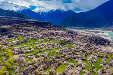 鏡觀(guān)中國·新華社國內新聞?wù)掌恢芫x