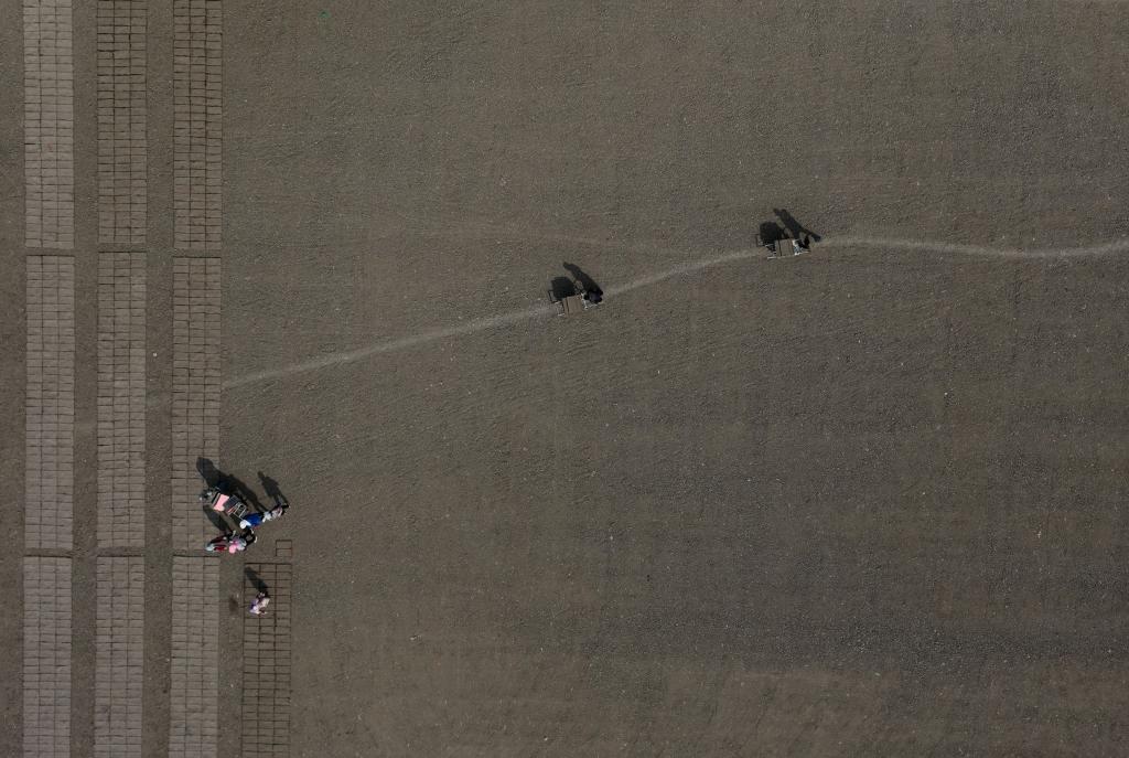 河北蘆臺:春風(fēng)拂 育秧忙