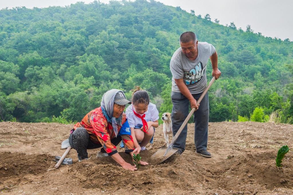 新華全媒+丨夫妻植樹(shù)護林40年，荒山禿嶺變綠洲“鷺嶺”