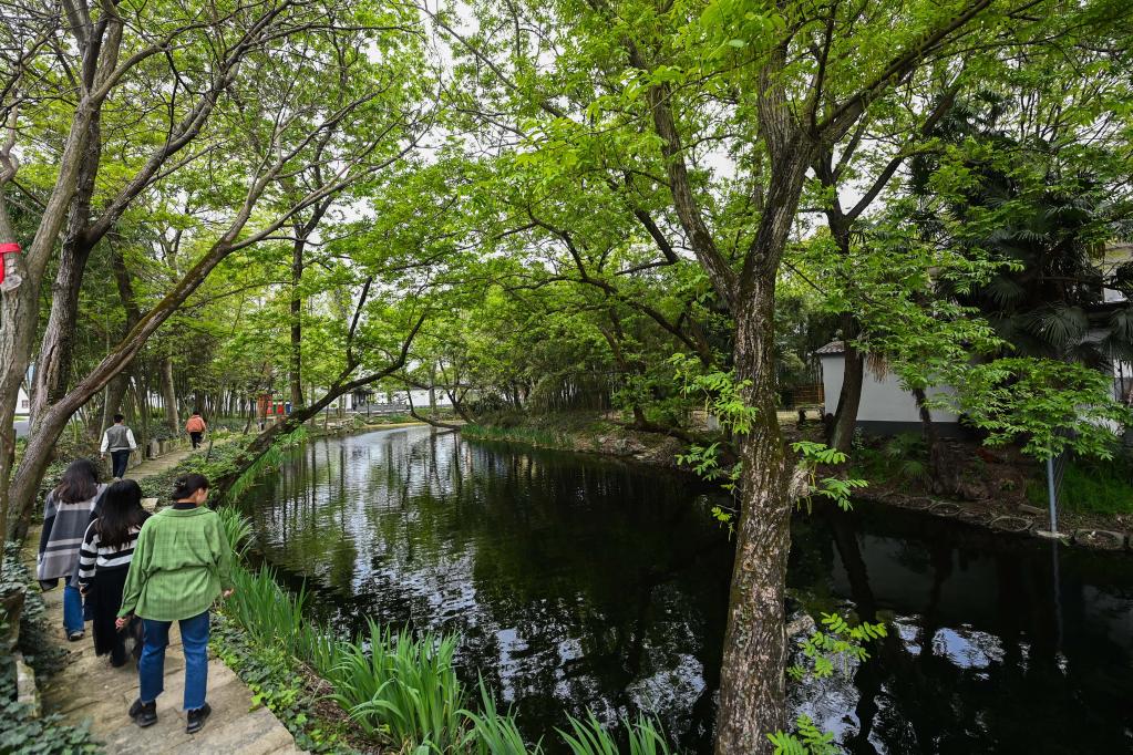 浙江嘉興:打造美麗鄉村旅游精品線(xiàn)