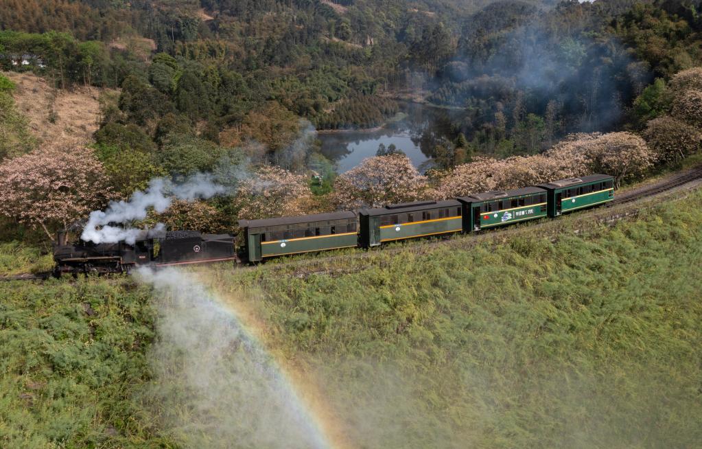 四川犍為:桐子花開(kāi)