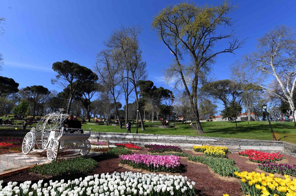 伊斯坦布爾:鮮花盛開(kāi)