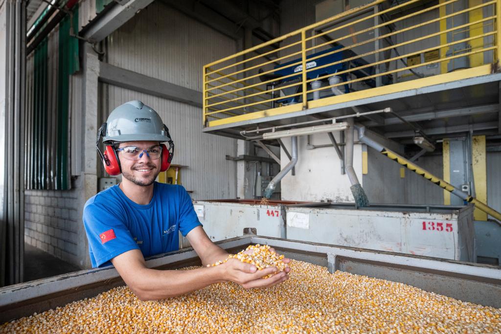 中巴農業(yè)科技合作助力高質(zhì)量發(fā)展