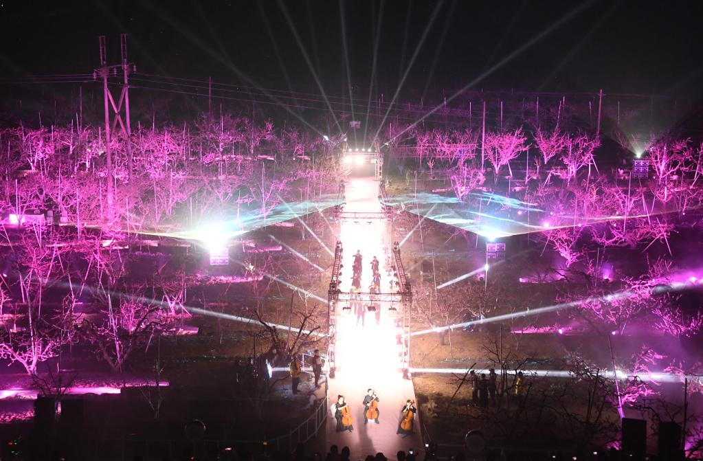 北京：第二十五屆北京平谷國際桃花節開(kāi)幕