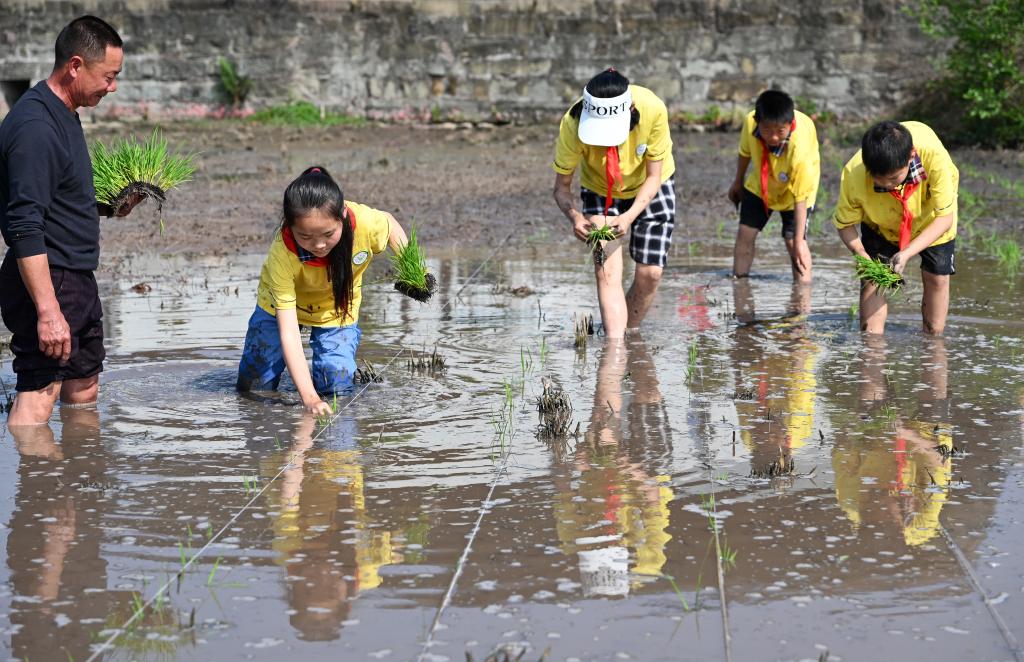 四川內江:農事體驗促成長(cháng)