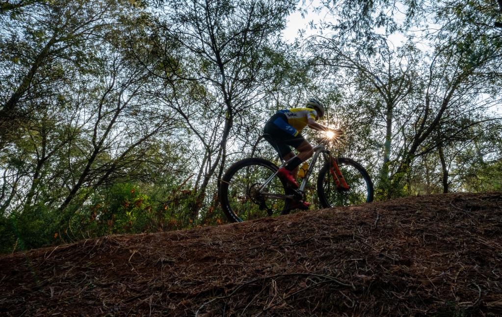 鏡觀(guān)中國·新華社國內新聞?wù)掌恢芫x