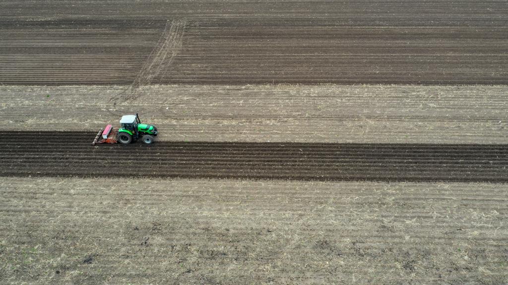 吉林:玉米已播計劃面積逾六成