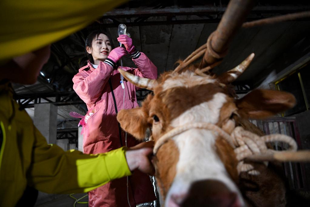 鏡觀(guān)中國·新華社國內新聞?wù)掌恢芫x