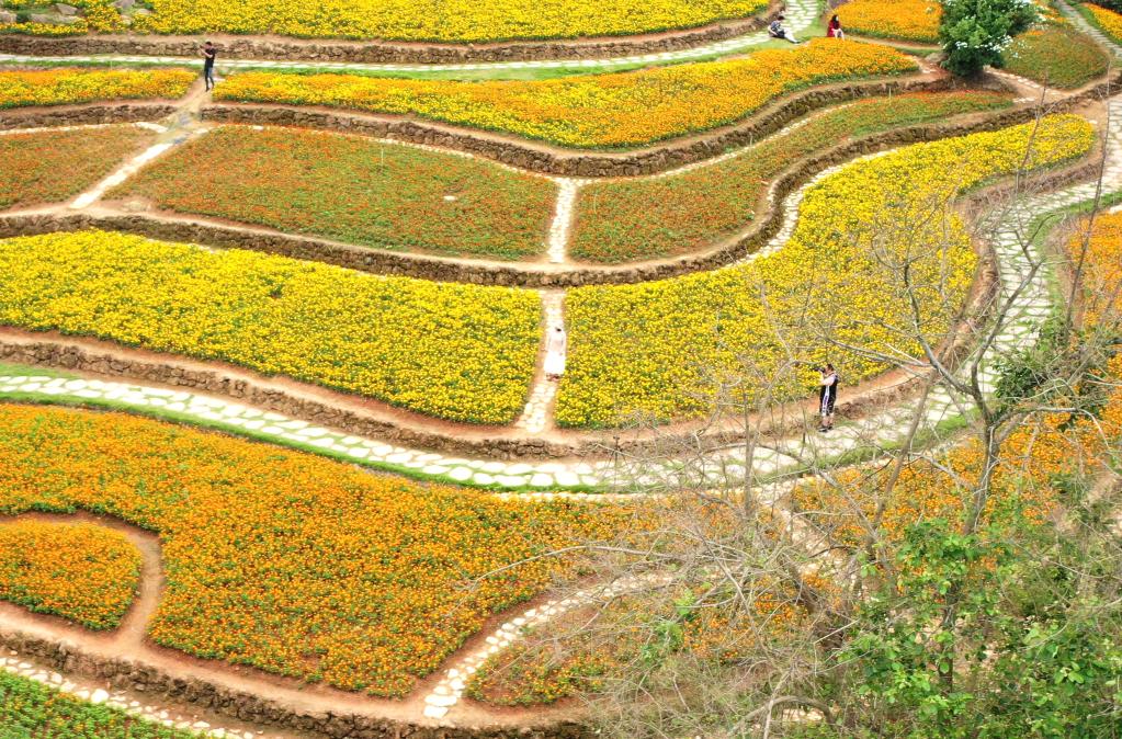 樂(lè )享戶(hù)外好風(fēng)光