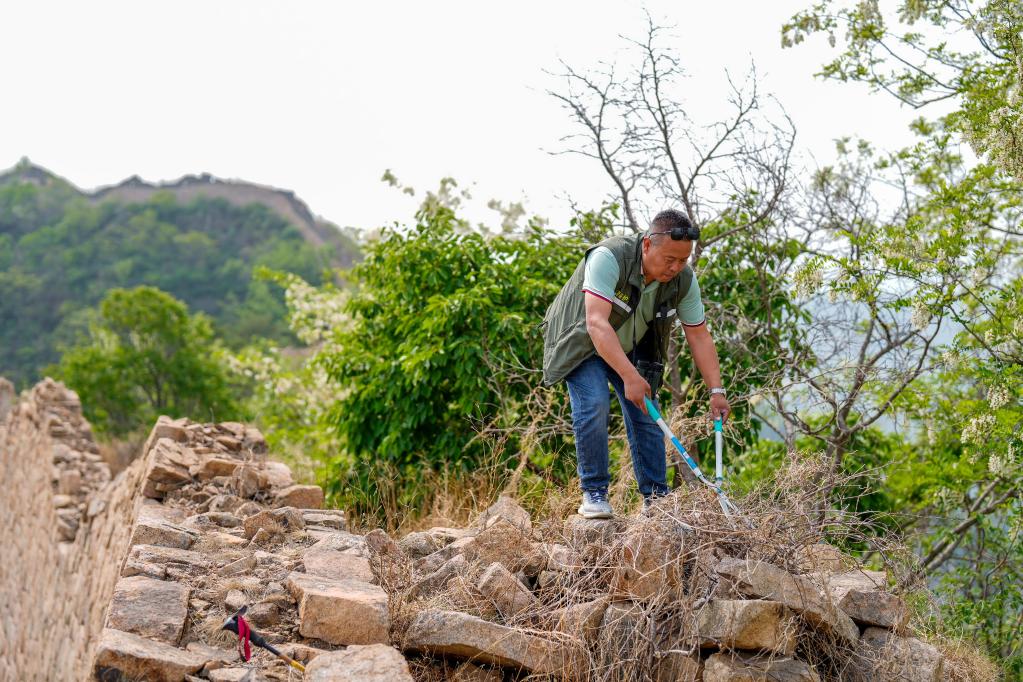 新華全媒+丨一位農民腳下的長(cháng)城保護路