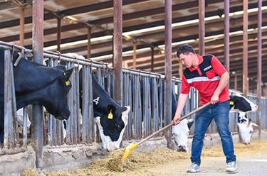 新華全媒+·追著(zhù)花兒看新疆｜新疆伊犁：全產(chǎn)業(yè)鏈布局賦能奶業(yè)振興