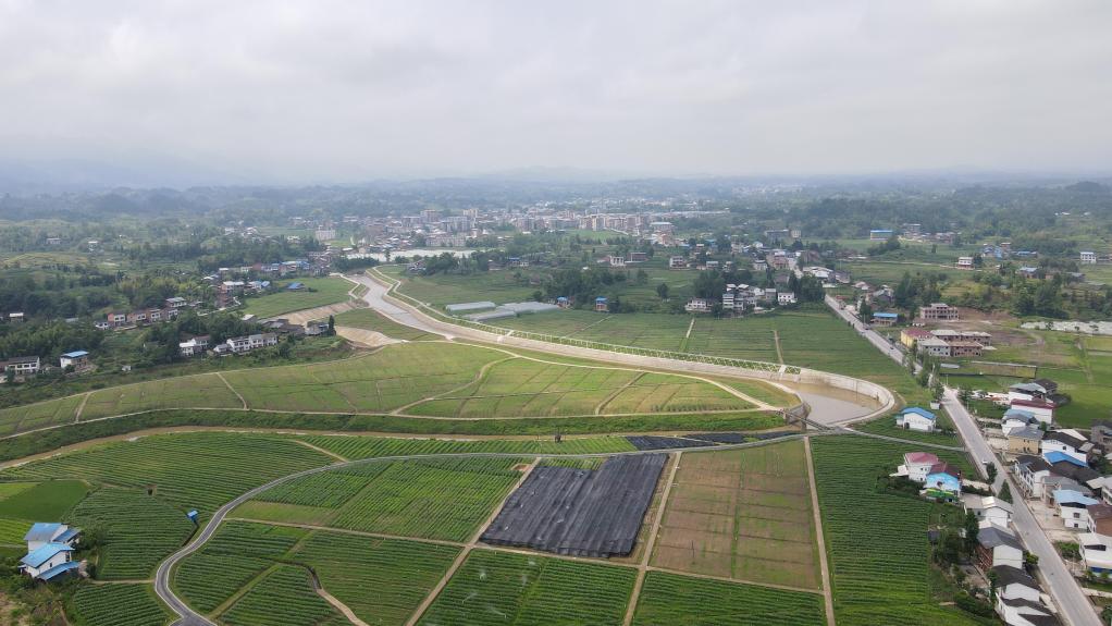 四川達川:初夏田園好風(fēng)光