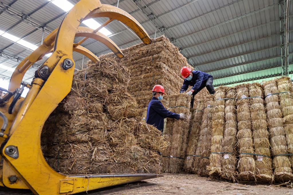 貴州遵義:秸稈加工 環(huán)保又增收