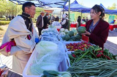 西藏白朗:年楚河畔果蔬香