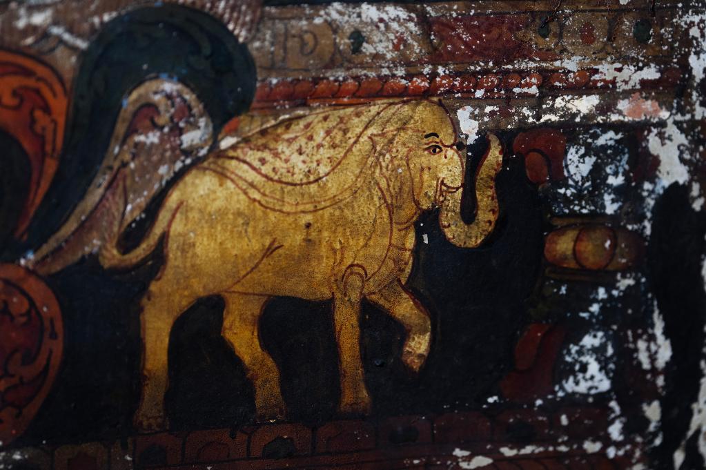 國道之行 從雪山奔向大海丨這么可愛(ài)的國寶，你見(jiàn)過(guò)嗎？