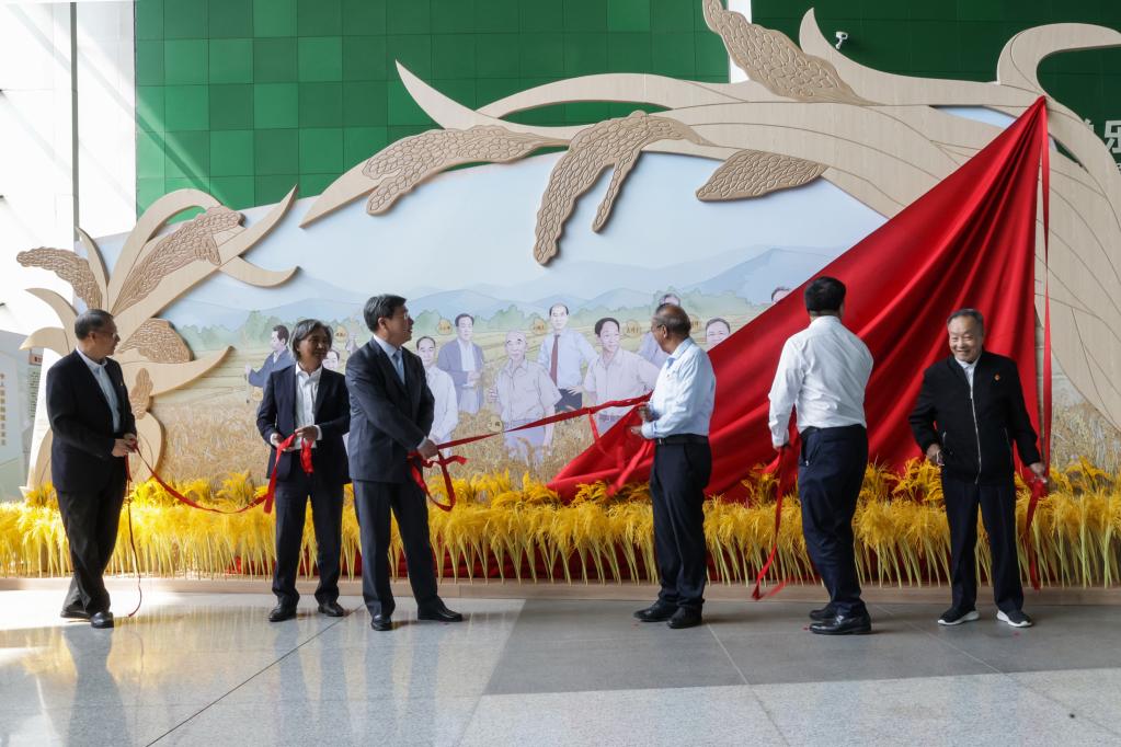 “中國攻克雜交水稻難關(guān)50周年”展覽在京開(kāi)幕