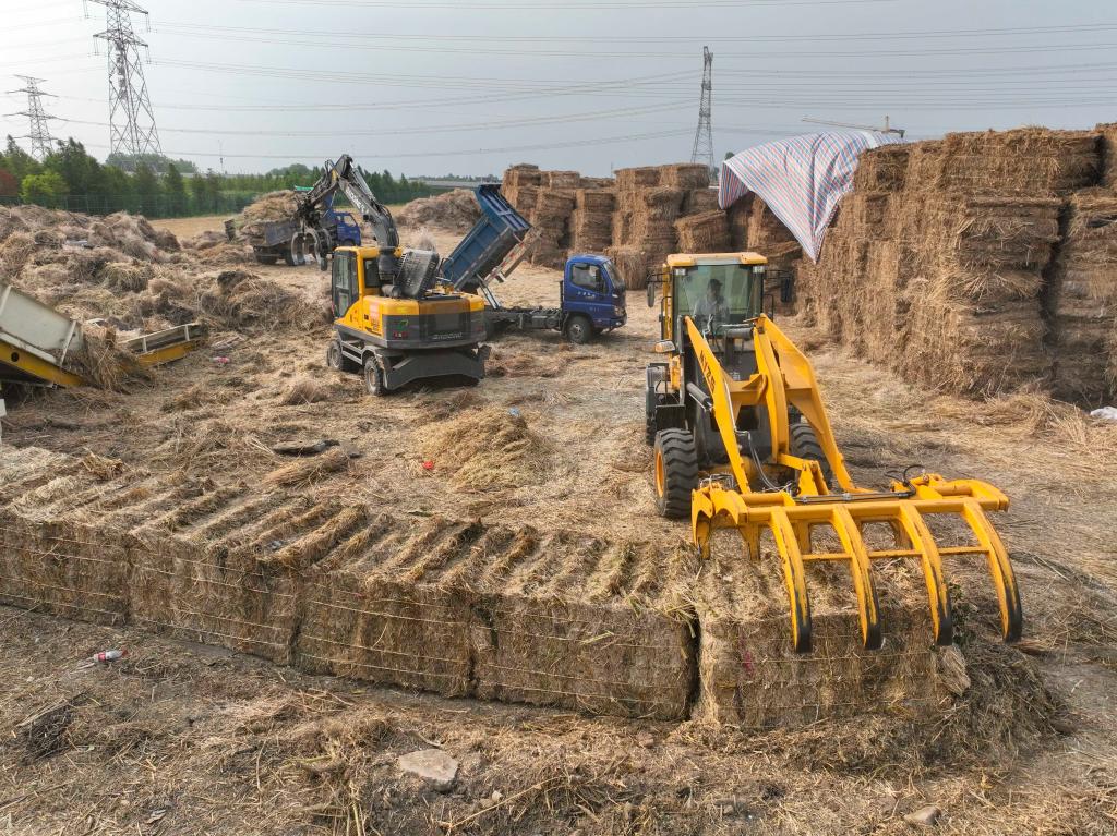 江蘇泰興:積極推動(dòng)秸稈集約利用