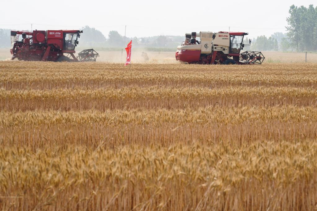 山東:機手大比武 減損促增收