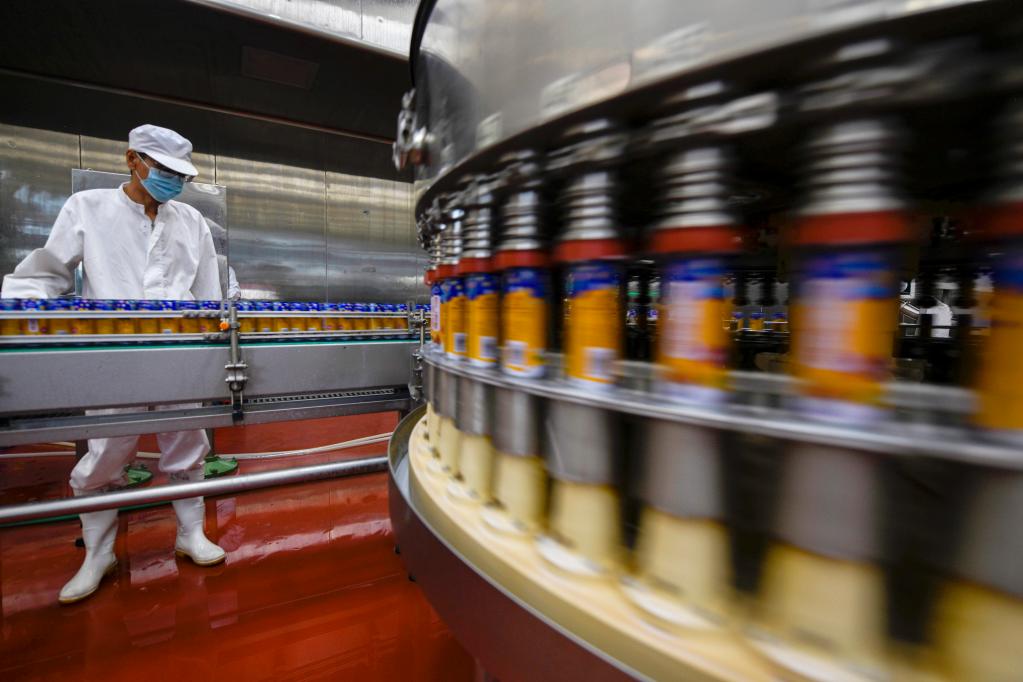 河北承德:發(fā)展杏仁深加工產(chǎn)業(yè) 助力鄉村振興