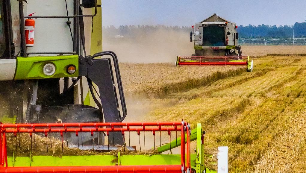 河南西平:高標準農田麥收忙