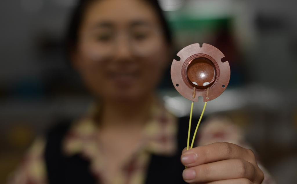 貴州鳳岡：發(fā)展“專(zhuān)精特新”企業(yè) 壯大縣域經(jīng)濟