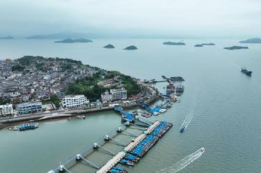 “千萬(wàn)工程”調研行丨浙江寧海:美麗半島小鎮盛開(kāi)“美麗經(jīng)濟”