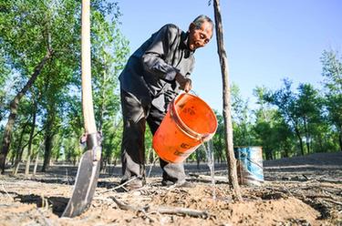 新華全媒+|三北防護林里的“老愚公”