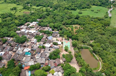海南儋州:玉蕊花香七里村