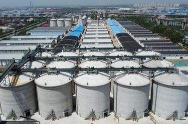 天津:現代化糧倉啟用 服務(wù)夏糧收儲