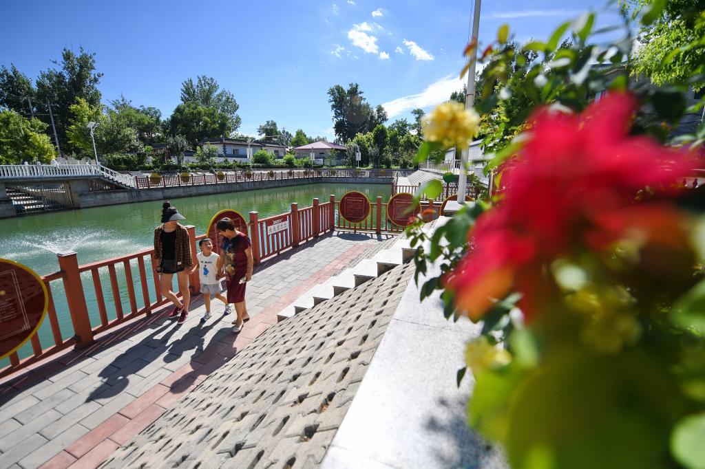 河北涿州：“廢坑塘”變身鄉村“風(fēng)景線(xiàn)”