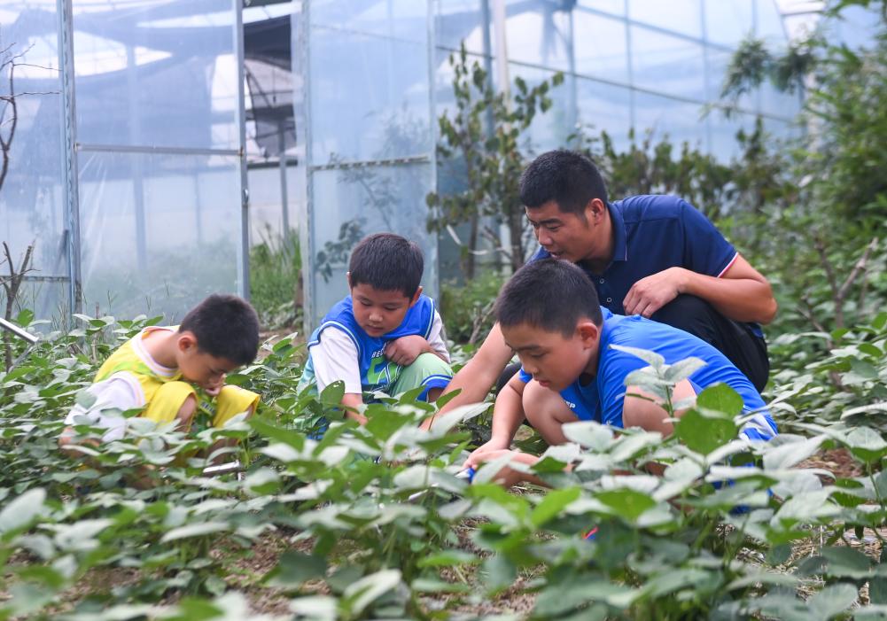 杭州富陽(yáng)：新鄉賢發(fā)展特色農旅產(chǎn)業(yè) 助力鄉村振興