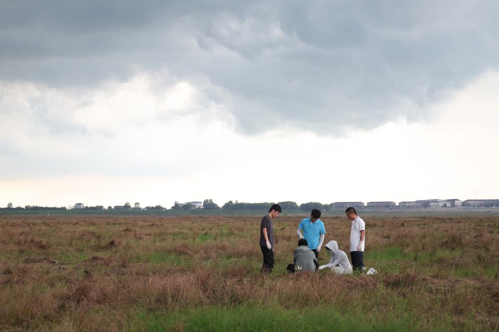 新時(shí)代中國調研行·長(cháng)江篇｜守護“長(cháng)江之腎”的“洞庭麻雀”