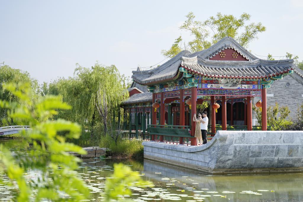 河北開(kāi)平：采煤塌陷區的“綠色轉身”