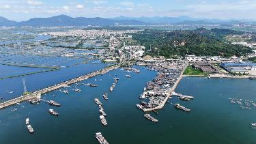 廣東饒平：水產(chǎn)養殖譜寫(xiě)現代“海洋牧歌”