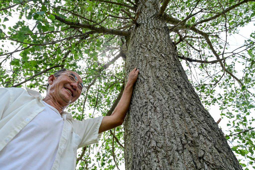 高質(zhì)量發(fā)展調研行丨從荒漠到林海：73歲蒙古族老人百順的治沙故事