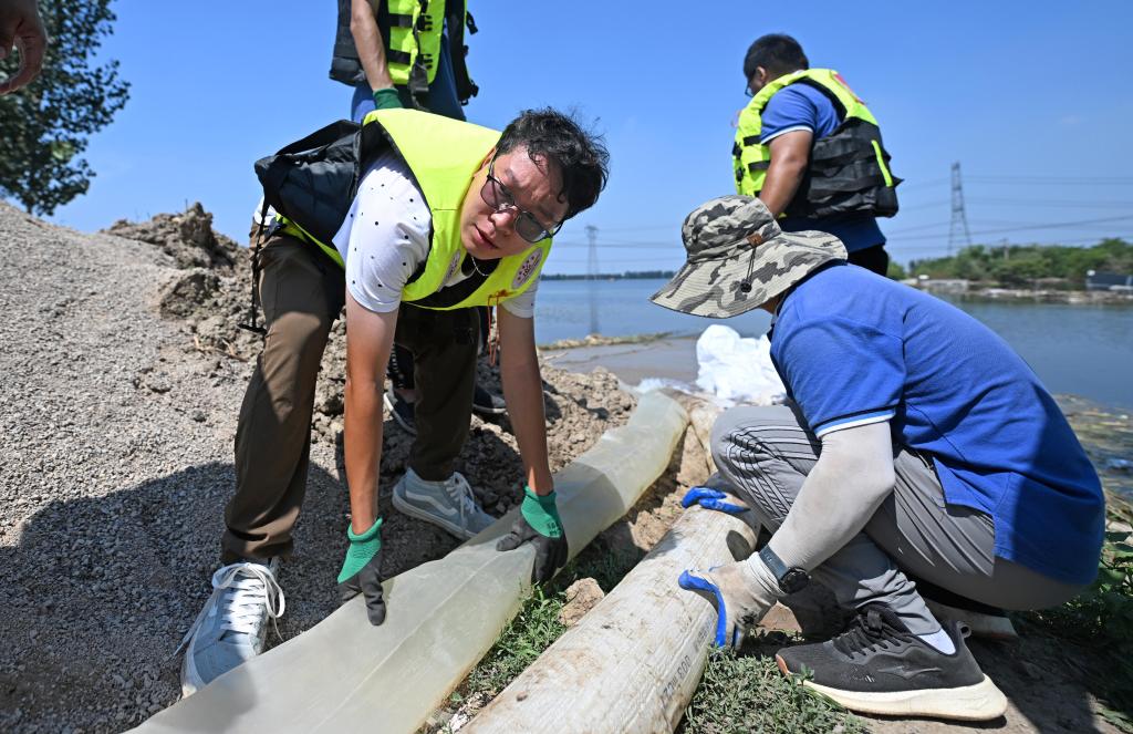 天津：護堤人在行動(dòng)