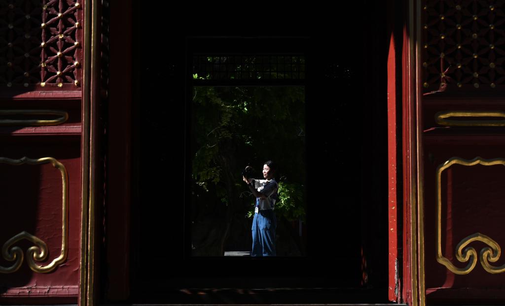 粵港澳青年在故宮開(kāi)展實(shí)習