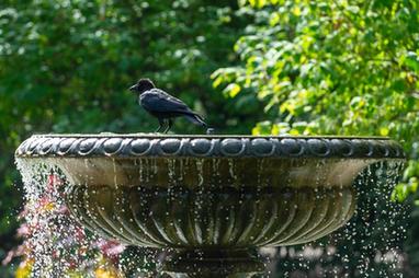 英國：熱浪來(lái)襲