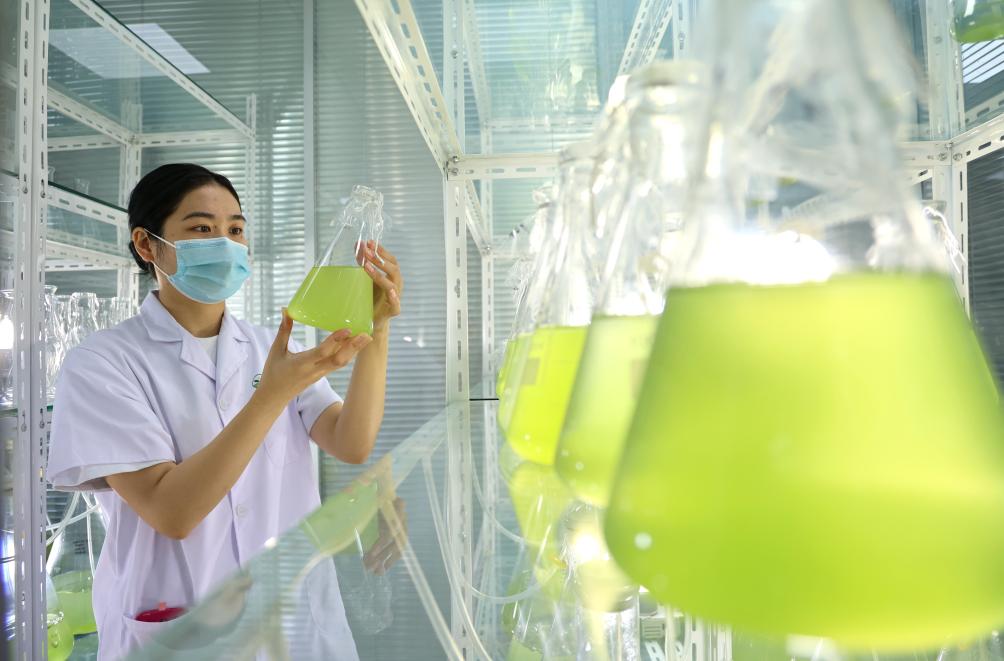 山東樂(lè )陵：科技創(chuàng  )新助力產(chǎn)業(yè)轉型升級