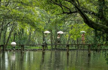 美麗中國丨“醉”美徽州“畫(huà)”旅游