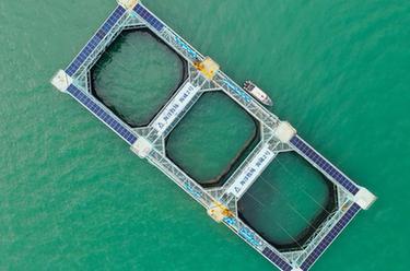 “游牧”深藍——養魚(yú)百萬(wàn)斤的巨無(wú)霸“糧倉”助力向海圖強