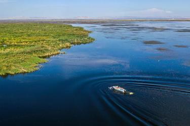 新時(shí)代中國調研行·黃河篇|守望烏梁素海的大學(xué)生們