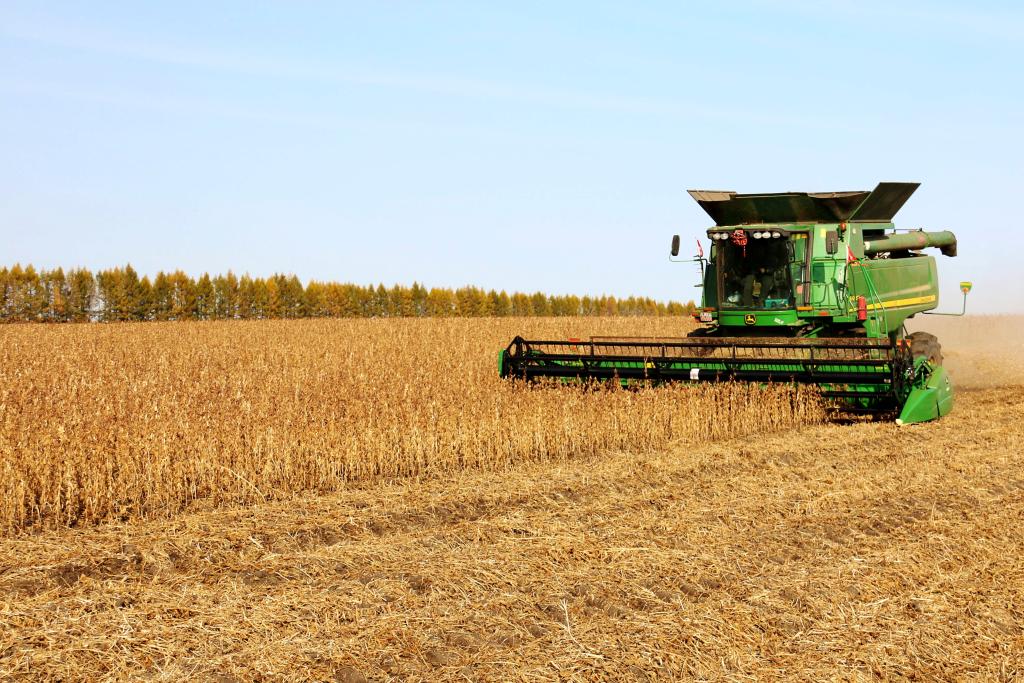 新華全媒+丨金秋時(shí)節農事忙