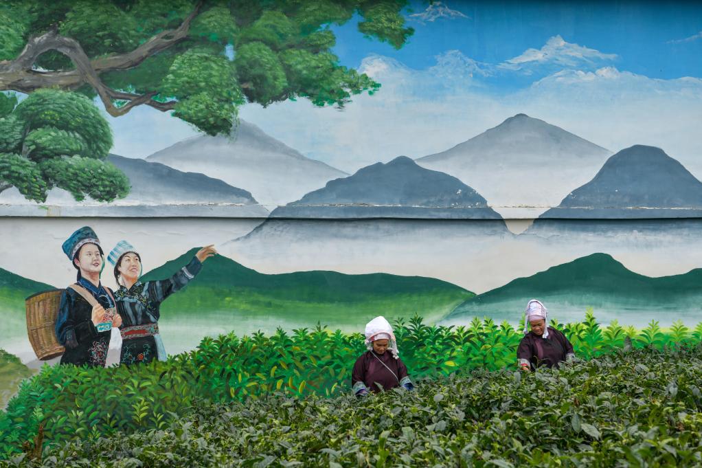 鏡觀(guān)中國丨全面深化改革十年間·鄉村振興新面貌