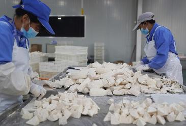 福建長(cháng)?。盒∮箢^ 大產(chǎn)業(yè)