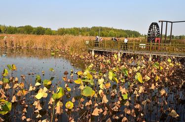 山東聊城：深化新舊動(dòng)能轉換 綠色低碳高質(zhì)量發(fā)展邁出新步伐