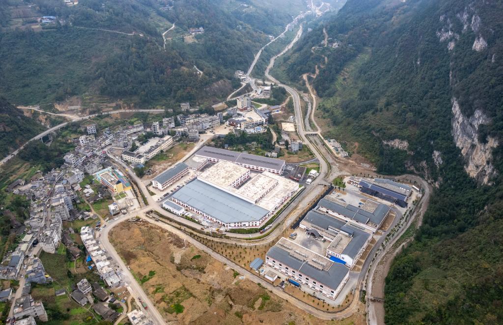 云南大關(guān)：竹產(chǎn)業(yè)助力鄉村振興“節節高”