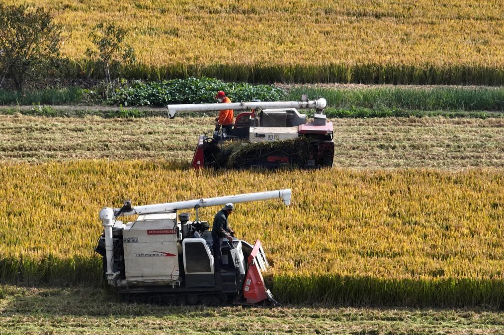 立冬時(shí)節農事忙