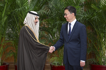 韓正集體會(huì )見(jiàn)阿拉伯、伊斯蘭國家外長(cháng)聯(lián)合代表團